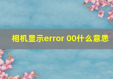 相机显示error 00什么意思